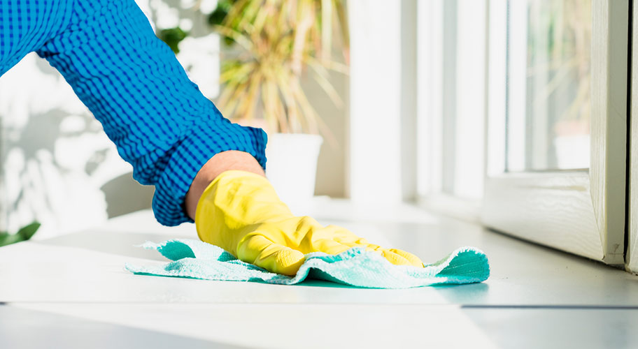 Cleaning Services