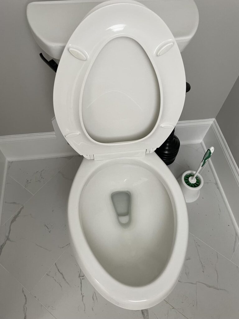 Toilet Cleaning After